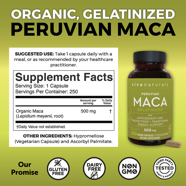 Maca Powder Capsules